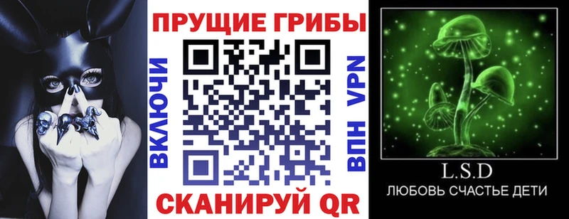 гидра   Первомайск  Галлюциногенные грибы Psilocybine cubensis  купить наркоту 